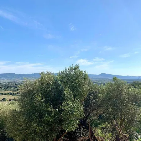 公寓 Casa Elicriso-veranda With A Sea View 巴德希